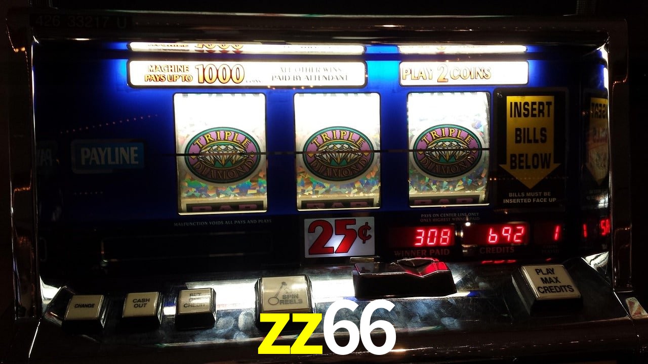 VIP Casino zz66